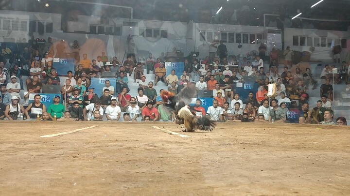 3 hits ulutan . 11/15/25 2nd Fight