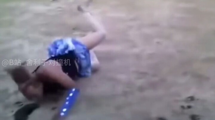 【Những khoảnh khắc hài hước hàng ngày của sinh vật trên Trái Đất #308】