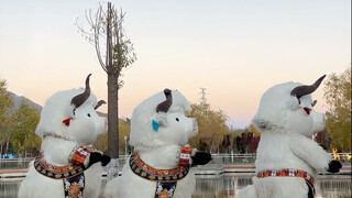 في هذه الحلقة، سنقدم لكم رقصة مألوفة جدًا للجميع، من فضلكم ادعمونا كثيرًا!