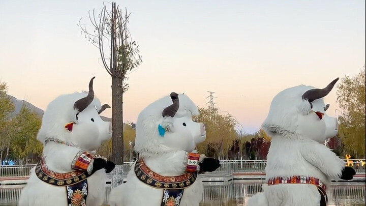 Episode kali ini kami hadirkan tarian yang sudah tidak asing lagi, jangan lupa dukung kami ya!