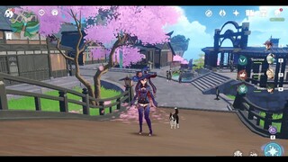 Costume Alternative Genshin Impact Terbaru, Anjing Pun SUKA!!! - Genshin Impact indonesia