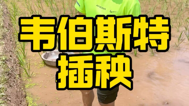 เรียนท่าตีลังกา แล้วกลับไปดำนา!