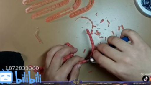 Destacado_ Impresión 3D _ Terminando pulpo _ ASMR_ASMR #2