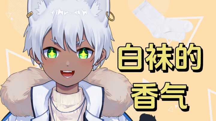二手海淘小男孩自用白袜机箱