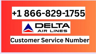 Full List of All Delta Airline𝓼® CONTACT” Numbers in the USA: Full Guide