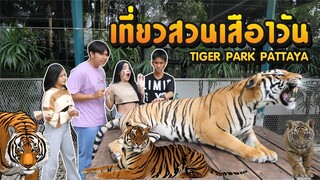 ใช้ชีวิตเล่นกับน้องเสือ 1 วัน !!  น่ารักเหมือนเเมวที่บ้าน