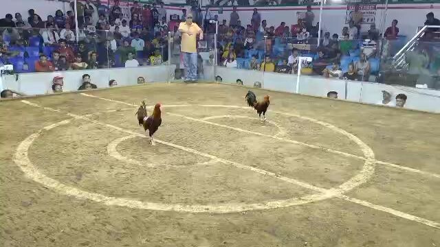 JJ Brothers 2nd fight Champion