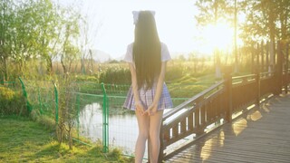 Sunset in the park