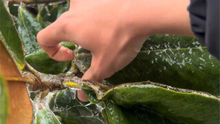 我以后不不玩了