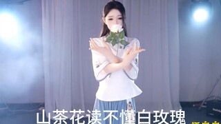 山茶花读不懂白玫瑰（新）