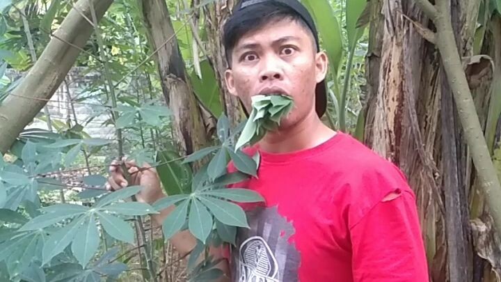 POV : LEMBU YANG TERKEJUT