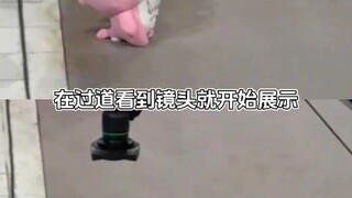 第一个让小朋友来扮吉祥物的一定是个天才