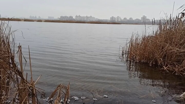 a new way in fishing!!!