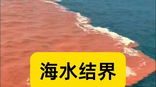 Rào cản nước biển kỳ diệu