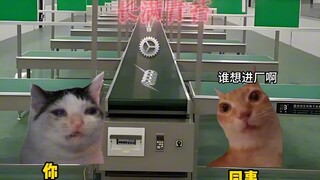 เมื่อคุณเรียนจบปริญญาตรีแล้วกลับต้องเข้าสู่โลกแห่งความเศร้าเสียใจอย่างหนัก