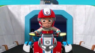 Paw patrol musim 6 Episode 9 original