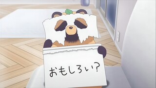 Ini Kucing Beneran Atau Kucing Jadi - Jadian🤣