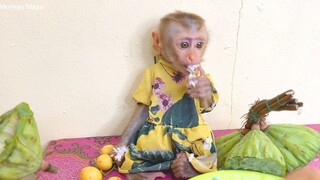 Princes Maya Love To Eat Rice The Most, She Don't Like To Drink Milk
