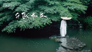 [Vietsub + Pinyin] Sợ Thấy Hoa Bay - Tuyết Cầu / 怕见飞花 - 雪球