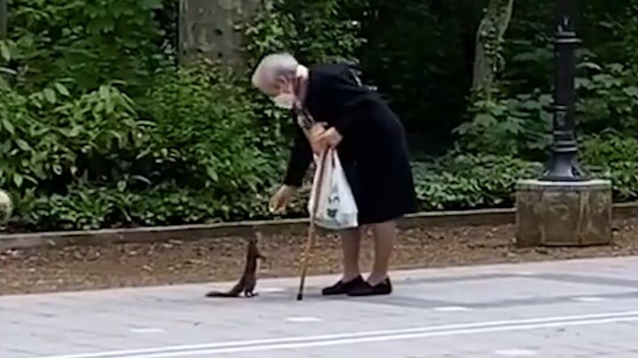 "شكرًا لك، أيها الغريب"