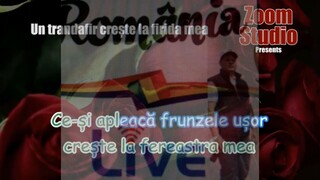 UN TRANDAFIR CRESTE LA FIRIDA MEA
