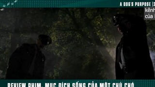 làm mai mối giúp ông chủ p3 #kenhcuaban