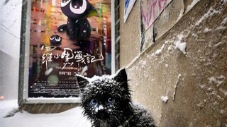 《不 再 流 浪》