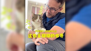 我家人想干什么就干什么🐱