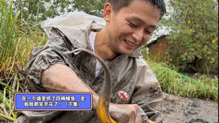 Caught four buckets of eels in a pond—boss is all smiles! (Part 2)