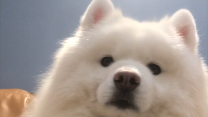 This isn’t bragging—it’s just the truth.