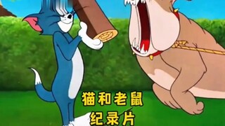 “众所周知，猫和老鼠是一部纪录片”