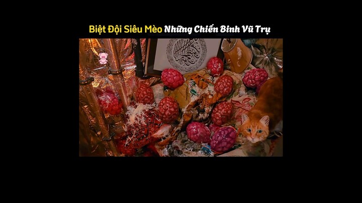 Ấu Trùng Mèo Bạch Tuột Ngoài Hành Tinh || heolyreview