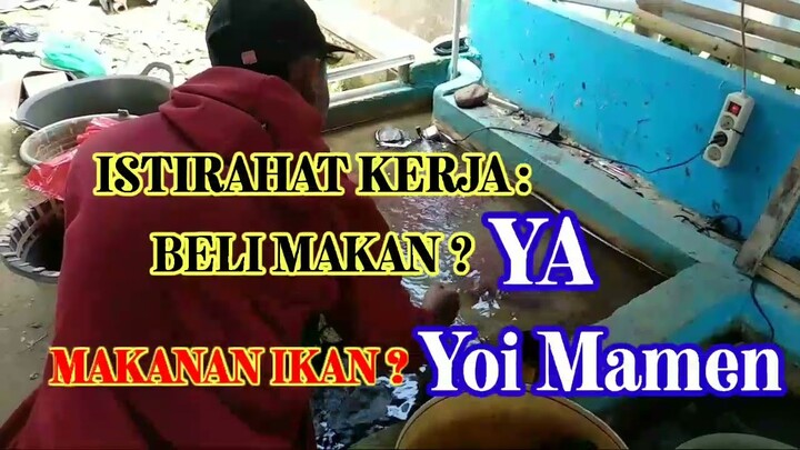 APA YANG DILAKUKAN KANG CUPANG PAS ISTIRAHAT KERJA