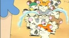 แฮมทาโร่ แก๊งจิ๋วผจญภัย ปี4 ตอนที่ 5