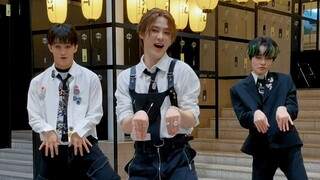 【NCT】🐻🐯🐬 Aku kanguru tersandung 〰️ 🥊🦘