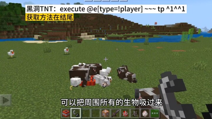 [Black Hole TNT Command!] That Attracts All Creatures — Minecraft Command