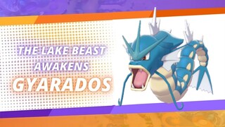 Gyarados All Moves | Pokemon Unite