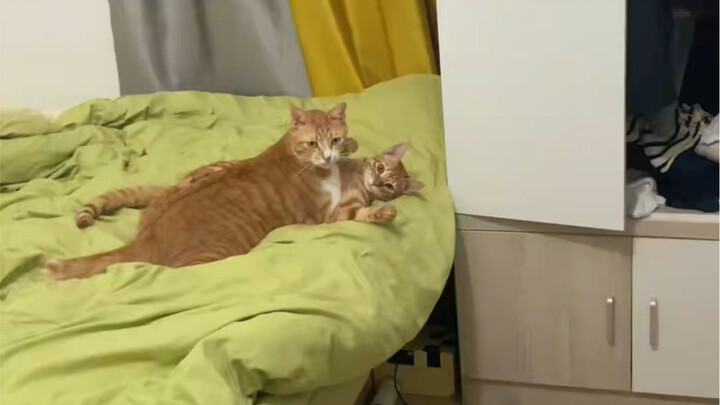 วันนี้ฉันกลับมาเร็วเกินไปรึเปล่า?