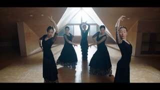 充满力与美的弗拉门戈舞蹈（Flamenco dance）影片