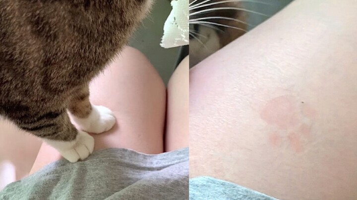 I got stamped by the kitty! ( ̀⌄ ́)