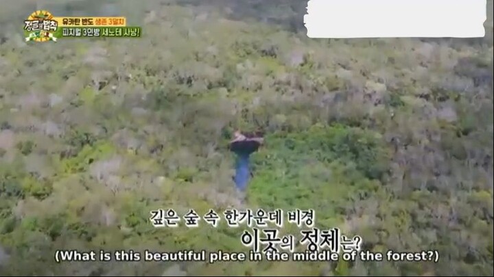 E318 Law of the Jungle_Mexico