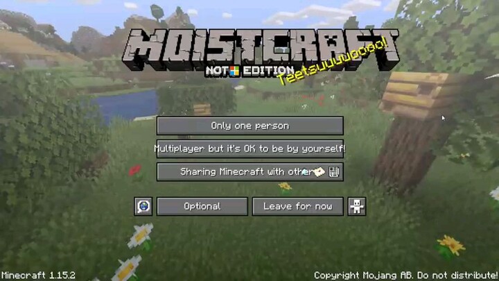 minecraft not edition