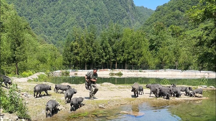 Hôm nay làm món Sukiyaki kiểu Nhật đãi anh em cho “đã đời” luôn!