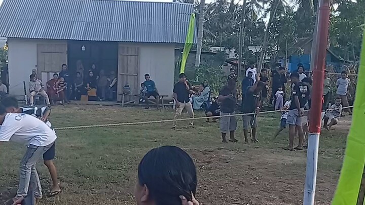 bocil bocil tarik tambang di perayaan ketupat