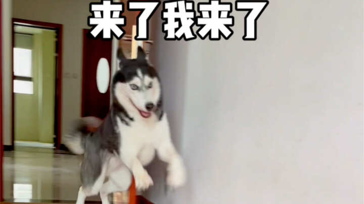 TL;DR: Kurukuda, come on over!