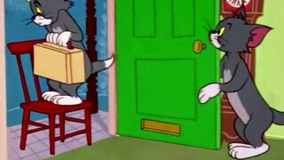 My summer vacation plans VS my summer vacation