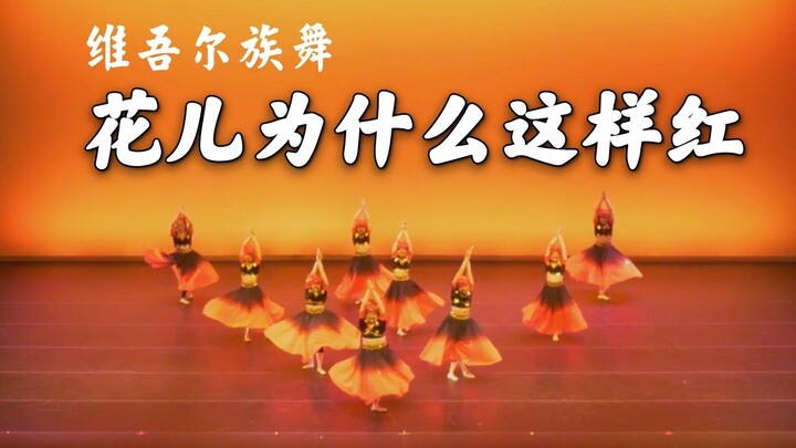 【花儿为什么这样红】维吾尔族群舞 加州大学伯克利分校FTD