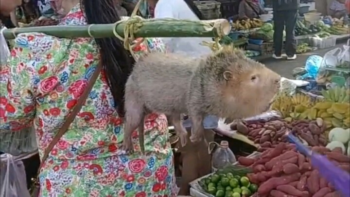 “ Nụ cười chưa hề biến mất ”