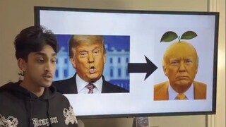 A Side Argument About a Pair of Unfortunate Bald Eagles