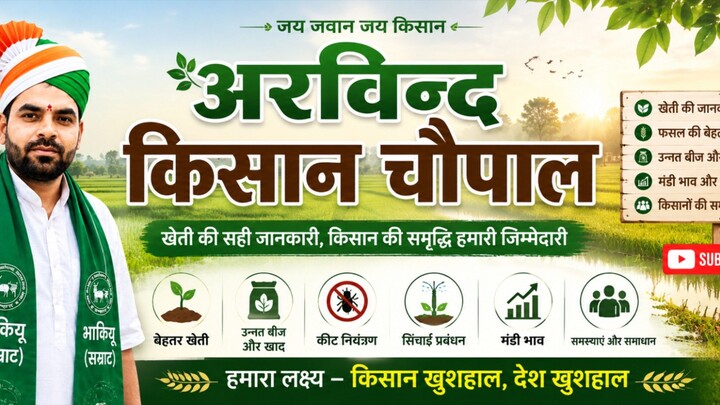 कैसे करे धान की खेती #viral #indian #farmer
